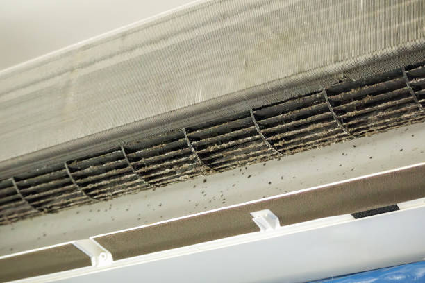 Affordable HVAC Duct Cleaning in Carlyss, LA